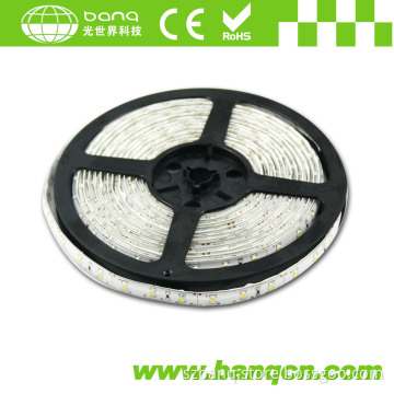 SMD 3528 Waterproof-Silicone Flex Strip (3528, 300LED/Reel)